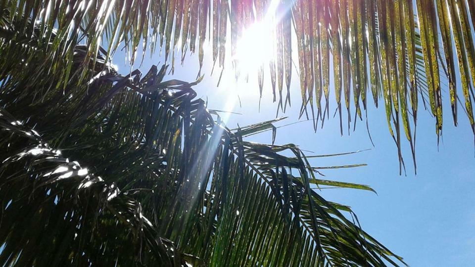 Vacation Beach Fales Hotel Manase Bagian luar foto